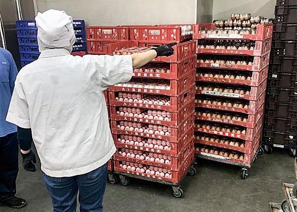 品質管理を徹底し、大切に育てられた丸トのたまごを届けるお仕事に携わりませんか?