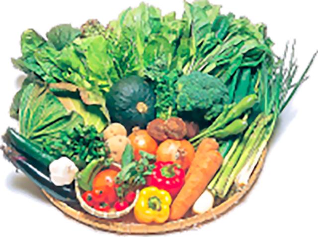 職場見学も受付中！
私たちの働いている様子を見に来ませんか？