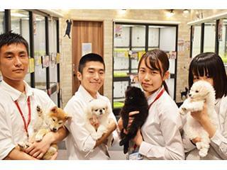 ペットショップ ワンラブのアルバイト パート情報 イーアイデム 広島市佐伯区のその他販売 サービス求人情報 Id A