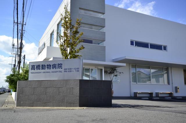 高橋動物病院の正社員情報 イーアイデム 加須市の受付 秘書求人情報 Id