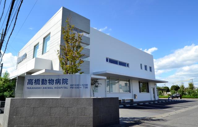 無理なく、長く。動物病院で始めるやさしいお仕事始めませんか！