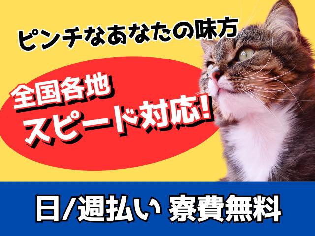 【ネコのようなスピード対応♪】ネジ締め/梱包/日払い/住み込み/家具家電完備/入社初日に3万アリ軽作業・梱包・ピッキング・検査