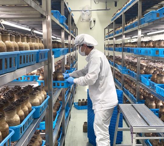 ≪きのこの栽培工場・人気の製造≫◆農業経験者優遇◆未経験OK◆完全週休2日♪◆キレイな工場◆きのこの栽培工場で栽培（製造）スタッフ