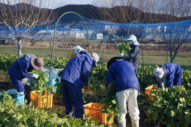 国立大学法人京都工芸繊維大学　生物資源フィールド科学教育研究センター