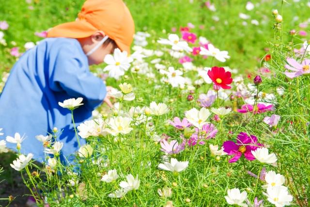 【長期】富田林市　こども園で保育補助のお仕事　実働4ｈで希望時間伺います保育補助