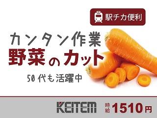 株式会社日本ケイテム 《No：6006》