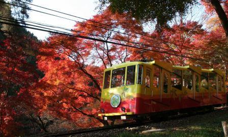 高尾山で働きませんか!日・祝・年末年始に勤務できる方を募集。特別な資格不要。20代〜30代男性活躍中ケーブルカーの車掌(乗務・改札・清掃等)、観光リフトの乗降補助係