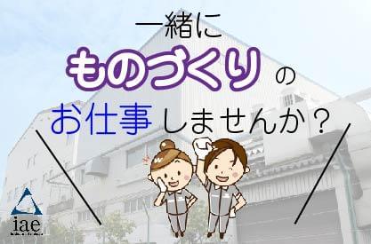 株式会社アイエーイー