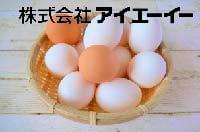静岡県の人材派遣ならアイエーイー!
あなたの「やりたい仕事」、きっと見つかります。