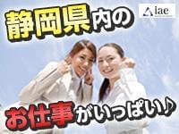 株式会社アイエーイー