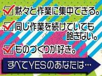 静岡県の人材派遣ならアイエーイー！
あなたの「やりたい仕事」、きっと見つかります。