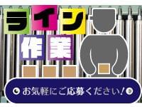 静岡県の人材派遣ならアイエーイー！
あなたの「やりたい仕事」、きっと見つかります。