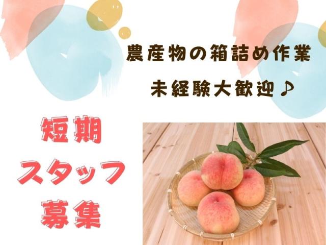 株式会社トリプル・ウィン