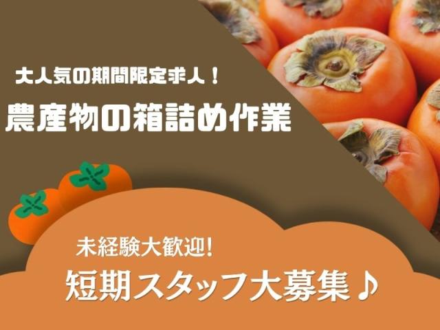 【短期】9月上旬〜10月末！大人気の軽作業♪農産物の選別・箱詰め／女性活躍中！私服OK・短時間OK！農産物の選別、箱詰め