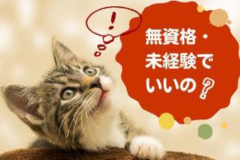 若手から中高年・シニアまで、幅広い世代が活躍中!