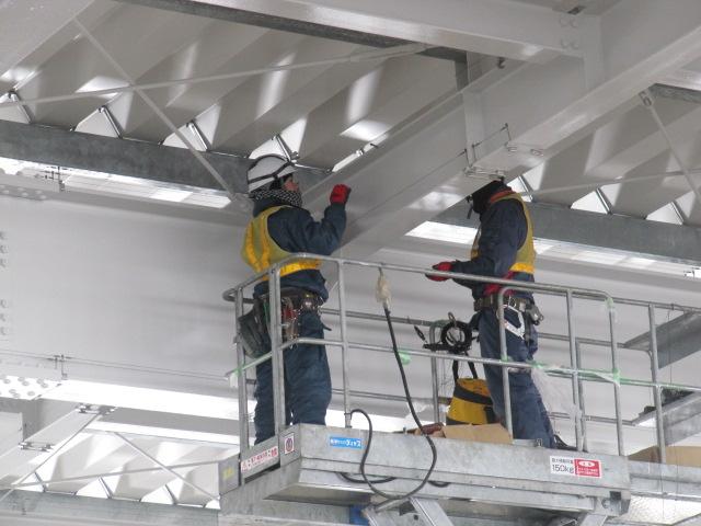 鳥害対策はこれからも決してなくならない確実な需要がある市場です。当社で安定・堅実な将来設計を！