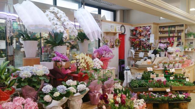 スーパーの中にあり、たくさんのお客様に親しまれているお花屋さんです♪