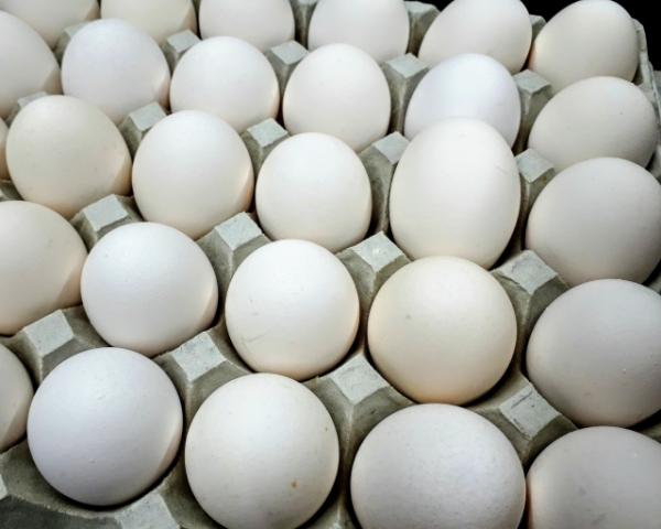 ■香取エリア(千葉県)のお仕事です。 
■軽作業系ＷＯＲＫ！
同業界で活躍してきた経験豊富なコーディネーターが、皆様の就職・転職活動をサポートいたします！