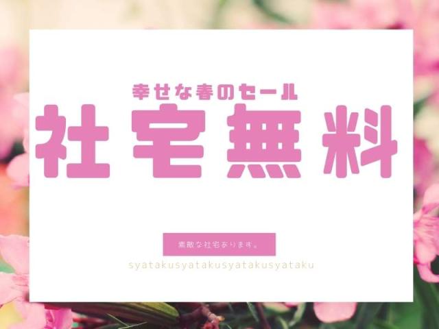 未経験OK