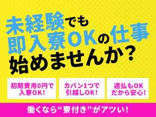 未経験OK！引っ越したいでもOK！寮ありで安心して働けます／担当者がマンツーマンで支援