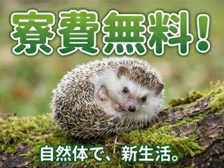 未経験OK！＼寮あり！／やり直したいを叶えたい人集合！／担当者がマンツーマンで支援