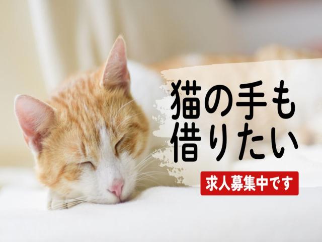 ★即日日払い可能★早いもの勝ち！！＼未経験からのスタッフさんが9割以上／★来社不要★知識は全くなくても大丈夫！！フリーターさん大歓迎★＼他にも勤務地多数あり／