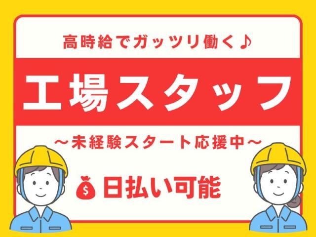 男女活躍中★
働きやすさをそろえています◎ぜひこの機会にご応募ください！