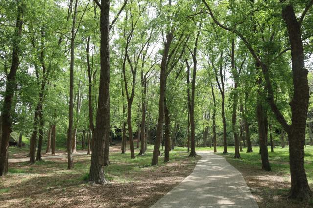 西武造園株式会社　武蔵野の公園パートナーズ