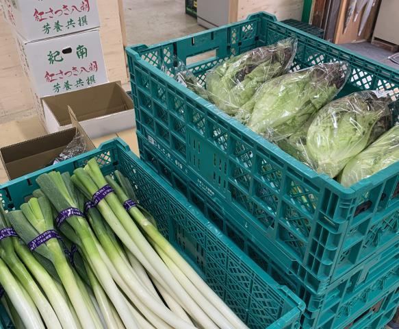 日向寺青果