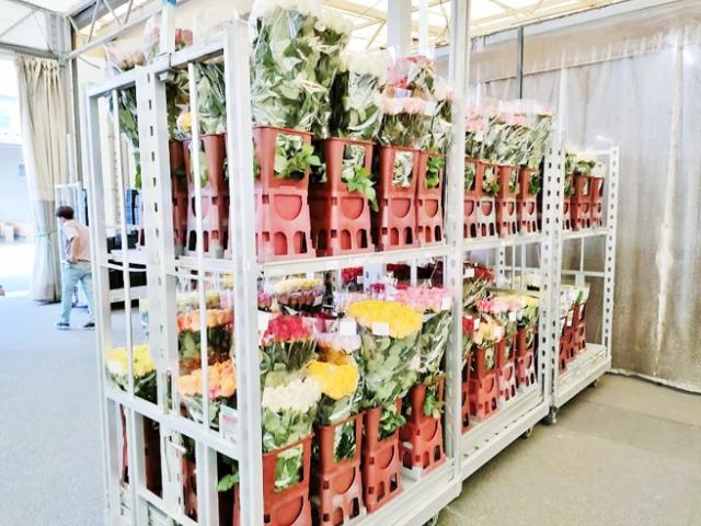 友達同士やご家族での応募も大歓迎です!なお、リピーターの方は面接ナシ◎