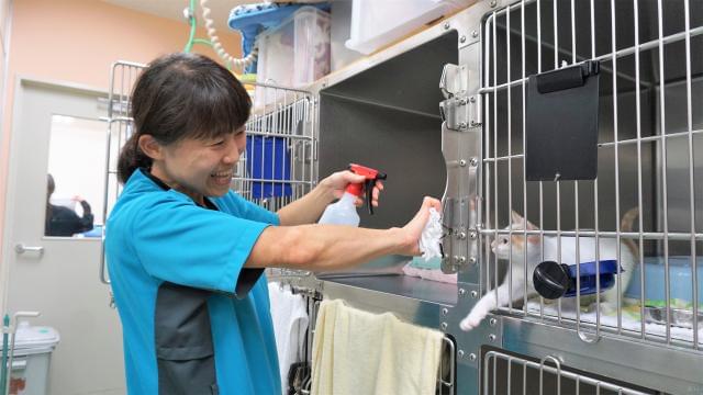 株式会社苅谷動物病院グループのアルバイト パート情報 イーアイデム 江東区の清掃 ハウスクリーニング求人情報 Id A