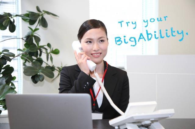 株式会社ビッグアビリティ/H7-54804-ad
