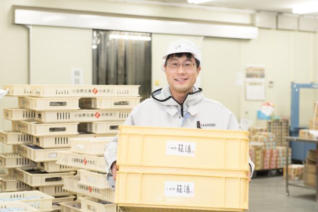 小田原の伝統を繋ぐやりがいを感じませんか?