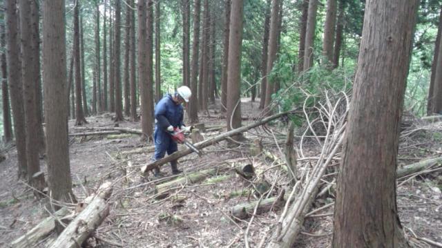 岡正林業株式会社の正社員情報 イーアイデム 西脇市のその他建築 設備 アクティブワーク求人情報 Id A