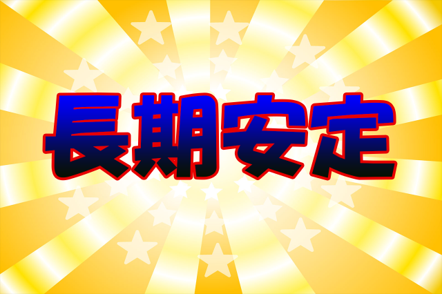 大手の会社で安定生活！