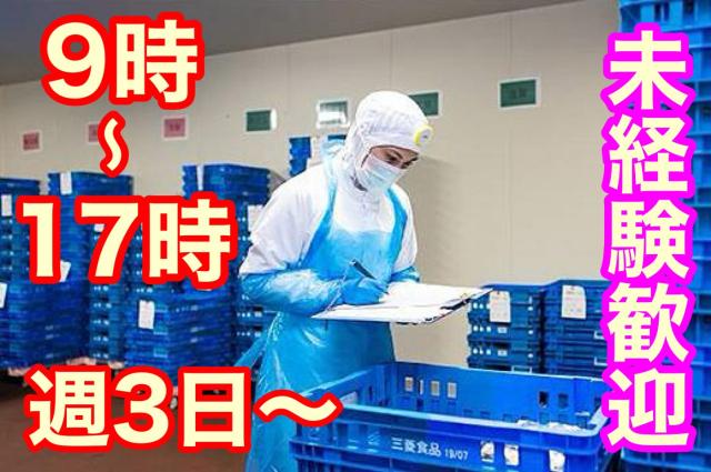 社員や先輩のフォローがバッチリ!
未経験者も安心ですよ。