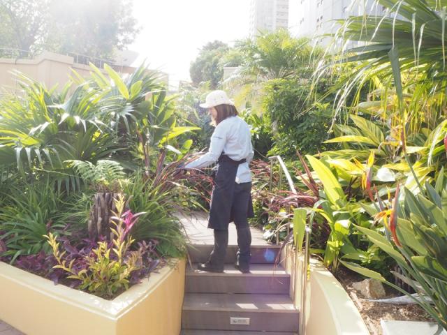 【なんば】◇駅チカ＆高時給！◇週3〜OK＆希望休も相談可！20・30代女性スタッフ活躍中！なんばパークス屋上庭園での植物の管理スタッフ