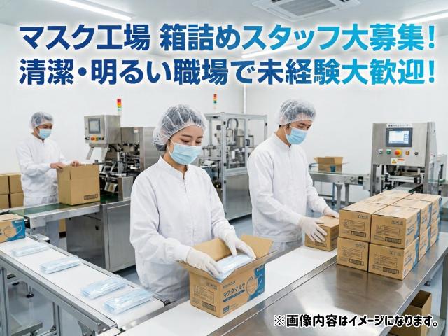 マスクを箱に並べるだけ！モクモク軽作業スタッフマスクの箱詰め