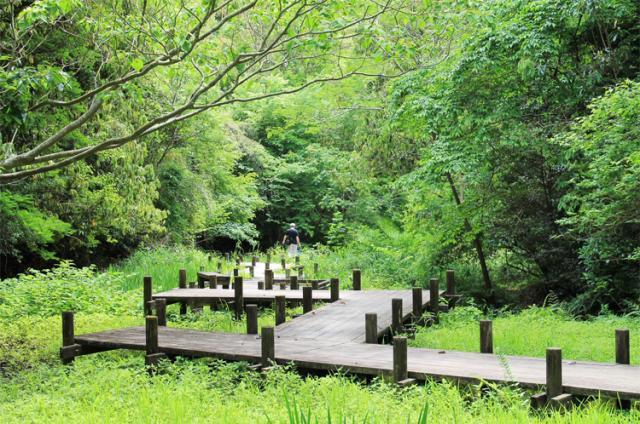 20代〜50代と幅広い世代の男女スタッフが活躍中!
年代問わず輝ける職場ですよ♪