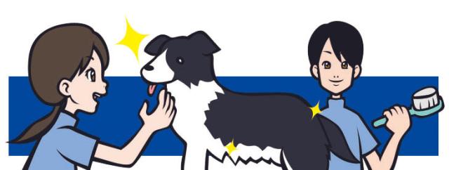 未経験者も活躍中♪どなたでもご応募いただけます♪