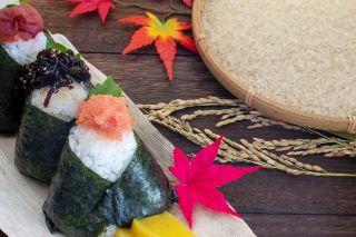 専任スタッフがあなたに合う仕事探しをサポート