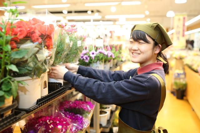 タイヨー　オークビレッジ店