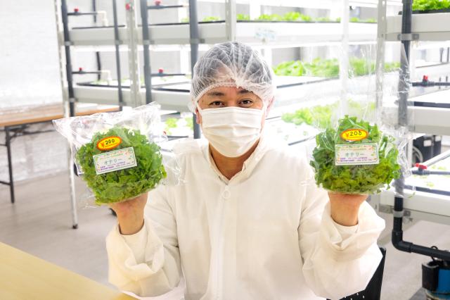 シップヘルスケアフード株式会社