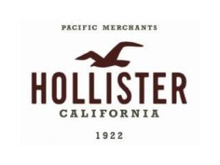 Hollisterのアルバイト パート情報 イーアイデム 三郷市のアパレル販売求人情報 Id A