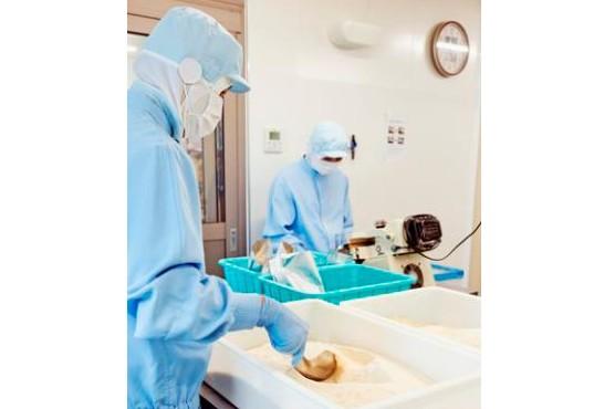 コツコツ作業が好き。体を動かして働きたい。
そんな方にピッタリのお仕事です◎