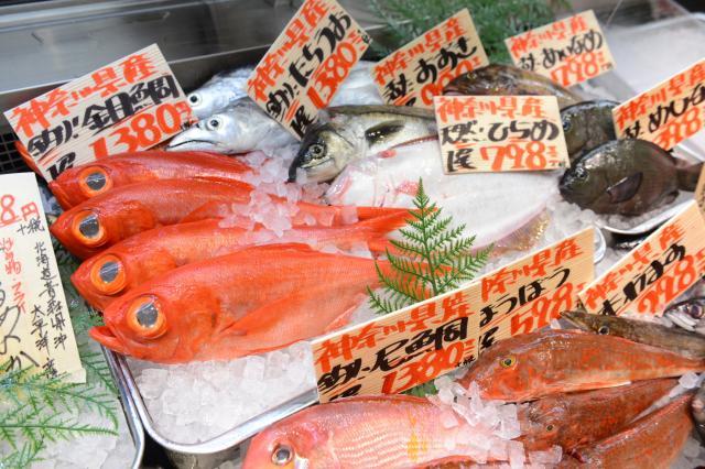 【お魚売場スタッフ】イオンスタイル郡山オープニングスタッフ総勢250名募集／経験不問／短時間OKスーパーお魚売場での製造・品出し・接客スタッフ