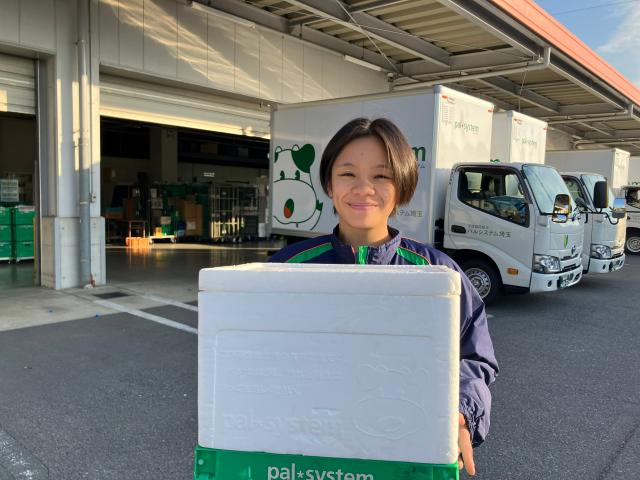 HSDについて