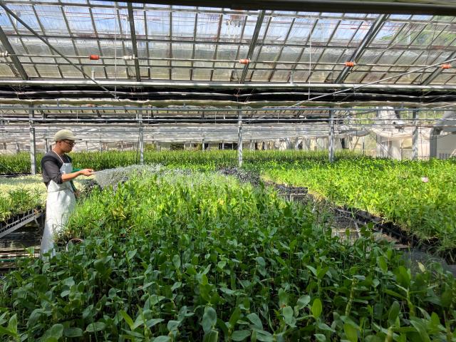 福岡県糸島市／学歴・経験・年齢不問！／日勤帯／植物を育てることが好きな方大歓迎！農産物生産管理