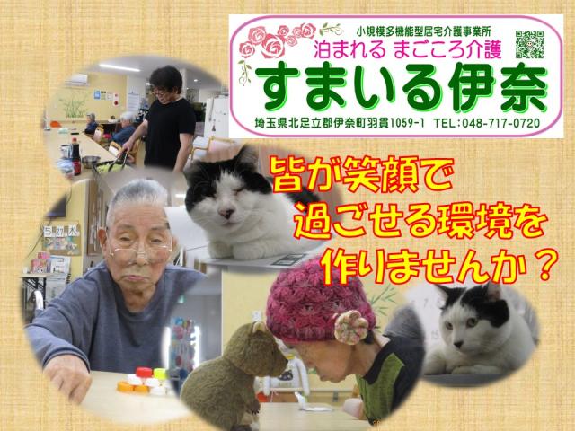 施設内では、3匹の猫も一緒に過ごしています。
和やかな雰囲気も、当施設の大きな魅力です◎